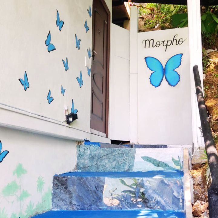 Morpho